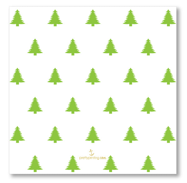 Holiday Photo Card Classic Border Lime + Aqua