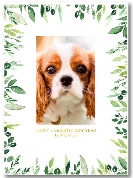Holiday Photo Card Eucalyptus Frame