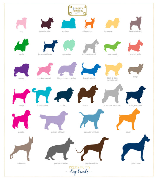 Notecard - Choice of Dog Breed with Navy Stripe (click for more colors options)